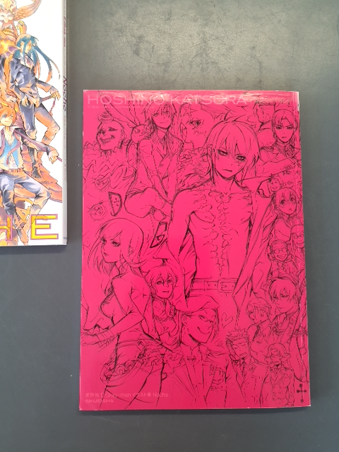 D. Gray man illustrations